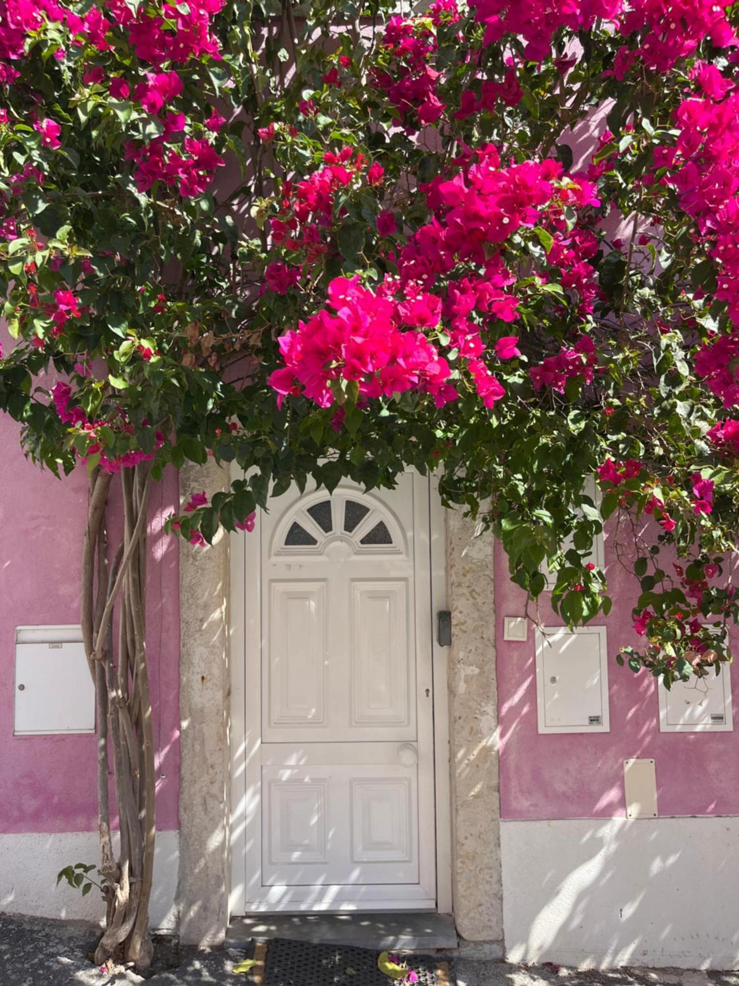 Apartamento Casa Cor de Rosa Lisboa Exterior foto