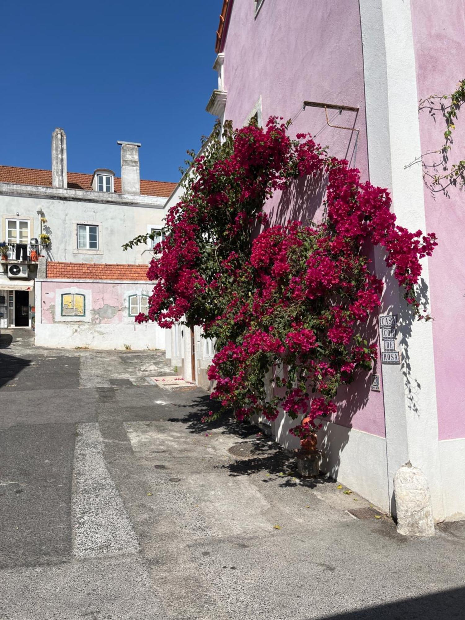 Apartamento Casa Cor de Rosa Lisboa Exterior foto