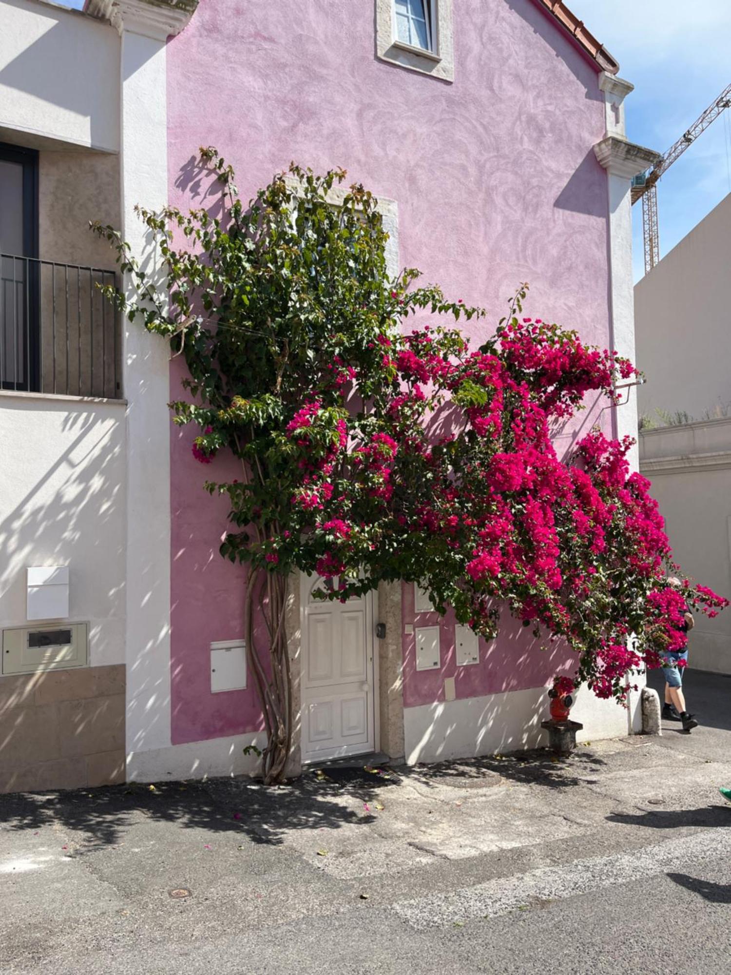 Apartamento Casa Cor de Rosa Lisboa Exterior foto